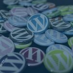 WordPress theme customization services